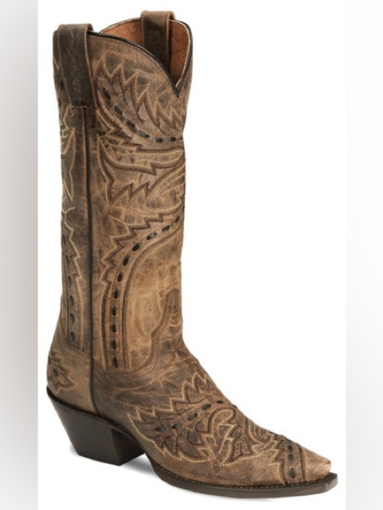Dan Post Shoes - Dan Post Sidewinder boots - women’s size 9
